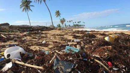 Zanieczyszczona plaża Puenta Cana na dominikanie odpadami plastikowymi, mikroplastik