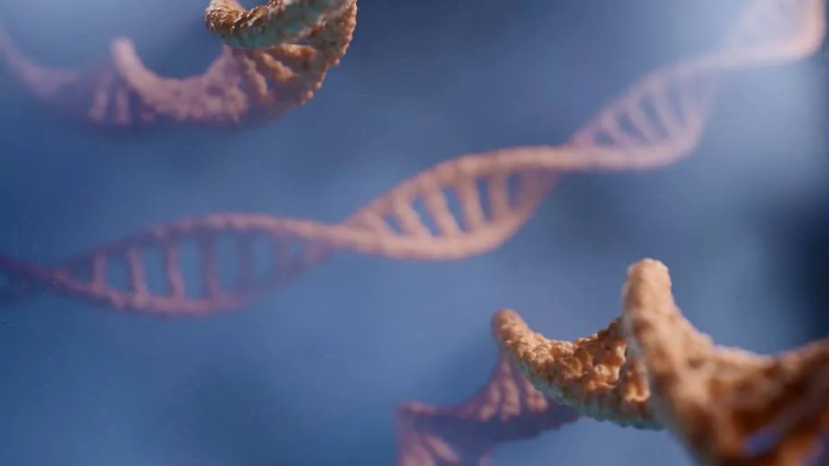 Render 3D. struktura podwójnej helisy DNA / Źródło: zdjęci DIGITALE, Unsplash