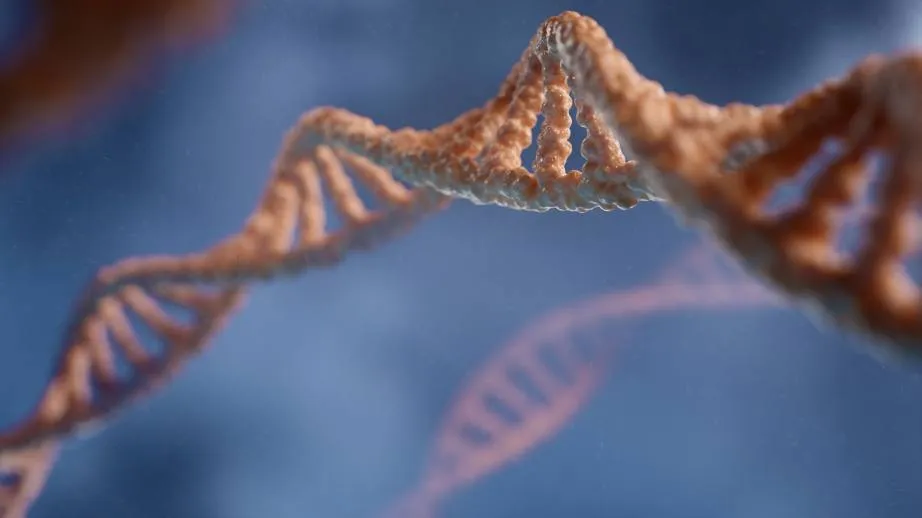 Render 3D. struktura podwójnej helisy DNA / Źródło: zdjęci DIGITALE, Unsplash