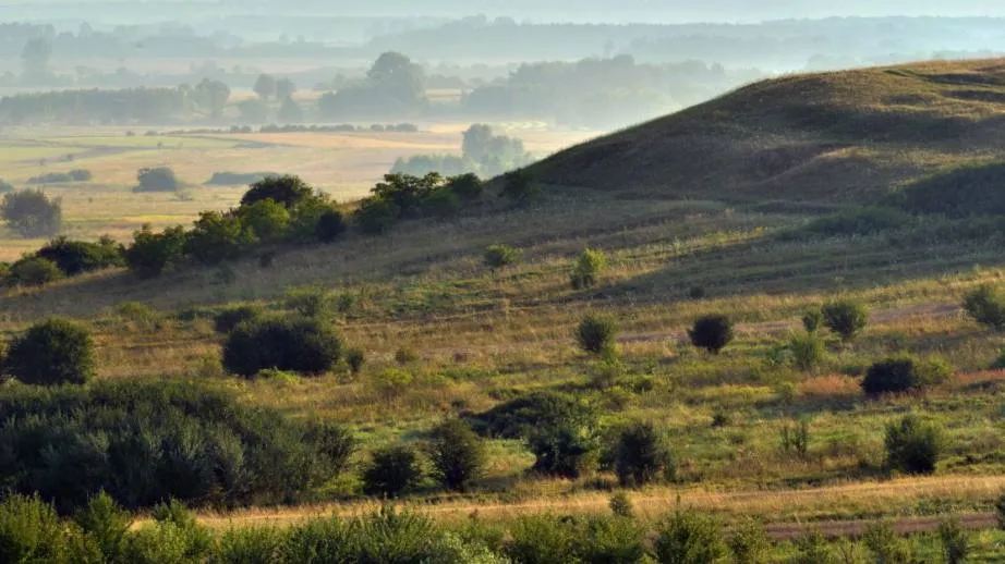 Krajobrazy Świętokrzyskich i Nadnidziańskich Parków Krajobrazowych / Źródło pk.kielce.pl