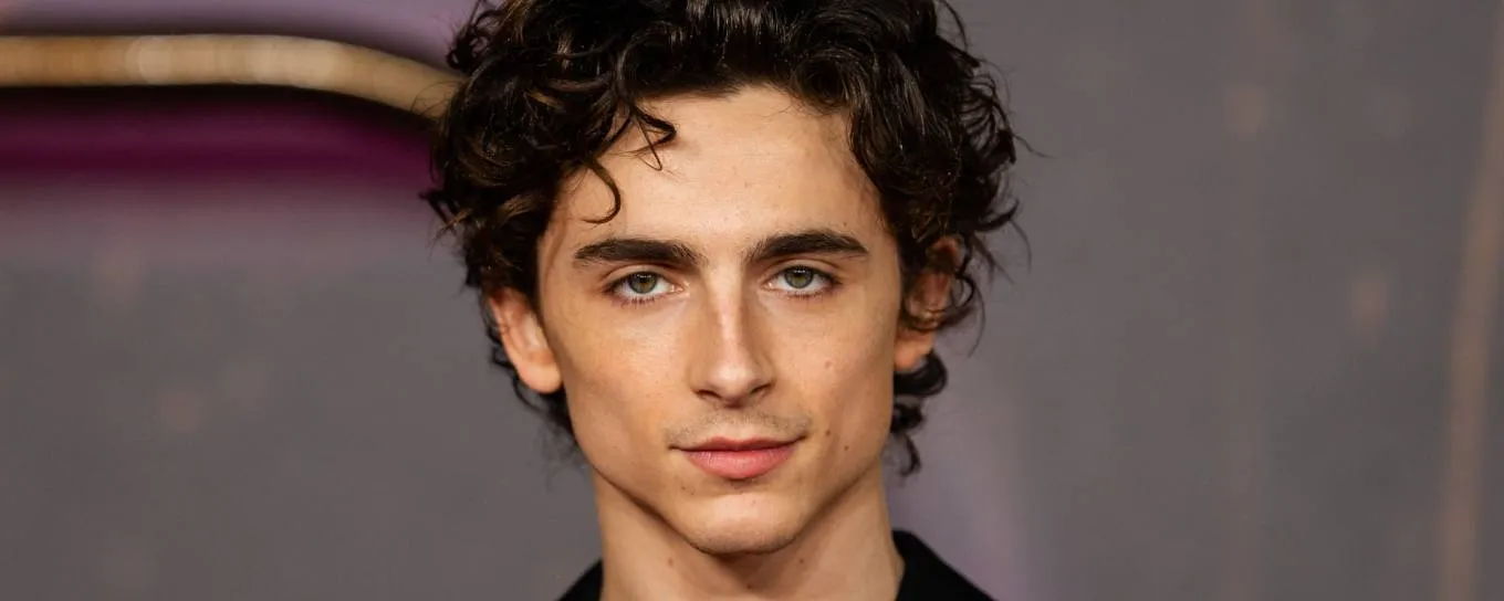 Timothée Chalamet / fot. Carllyttus / Źródło: Wikimedia Commons